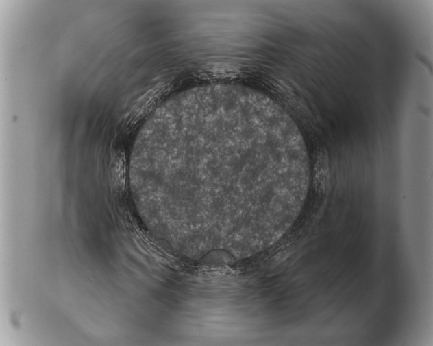 X0000102240866200808221328