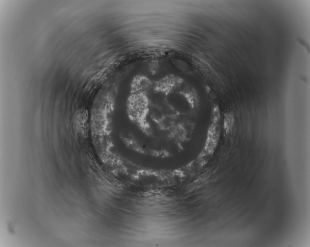 X0000102240867200808221328