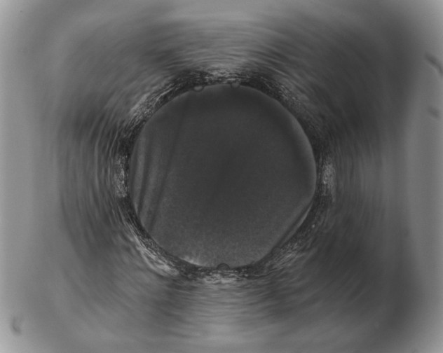 X0000102240868200808221328