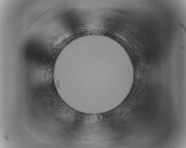 X0000102240869200808221328