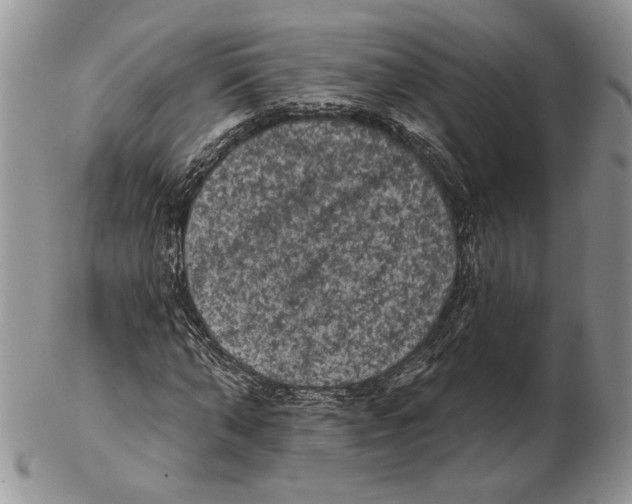 X0000102240870200808221328