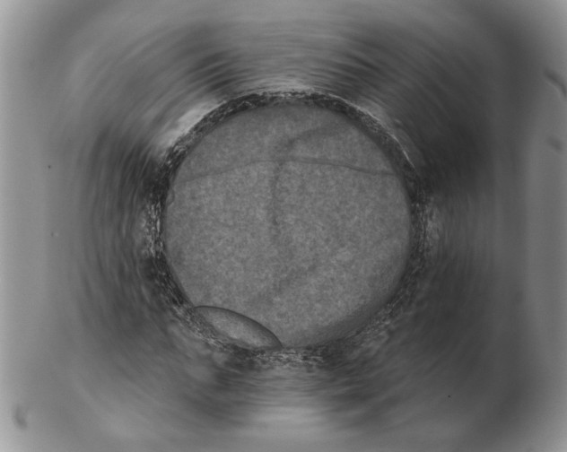 X0000102240871200808221328