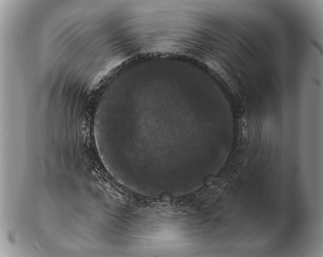 X0000102240872200808221328