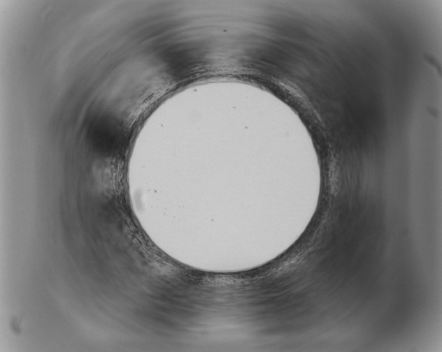 X0000102240873200808221328