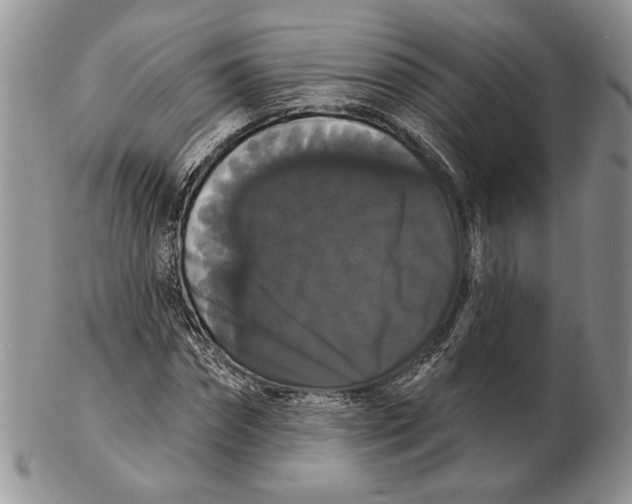 X0000102240874200808221328