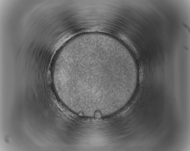 X0000102240876200808221328