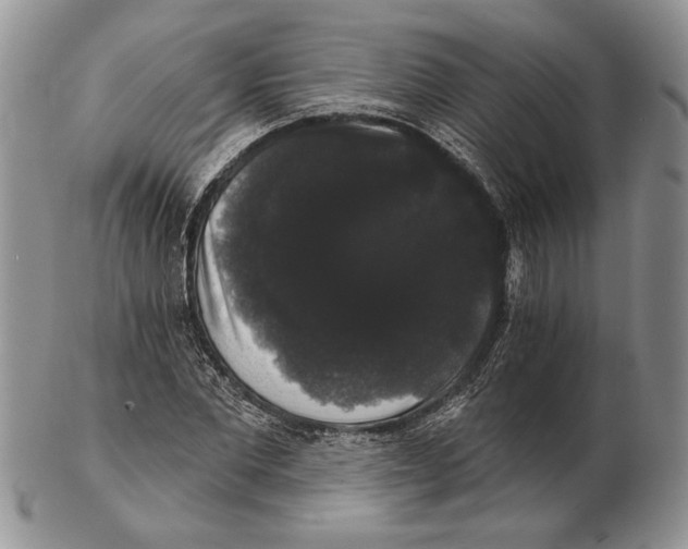 X0000102240877200808221328