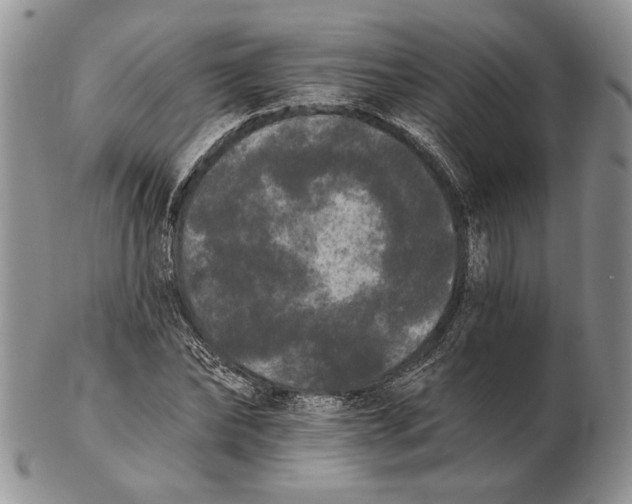 X0000102240878200808221328