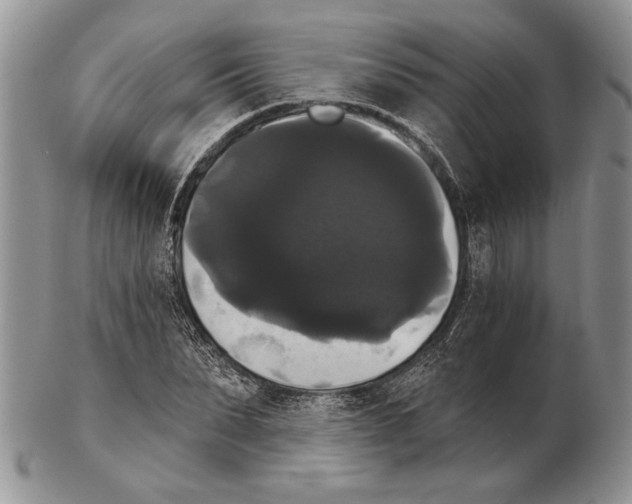 X0000102240879200808221328