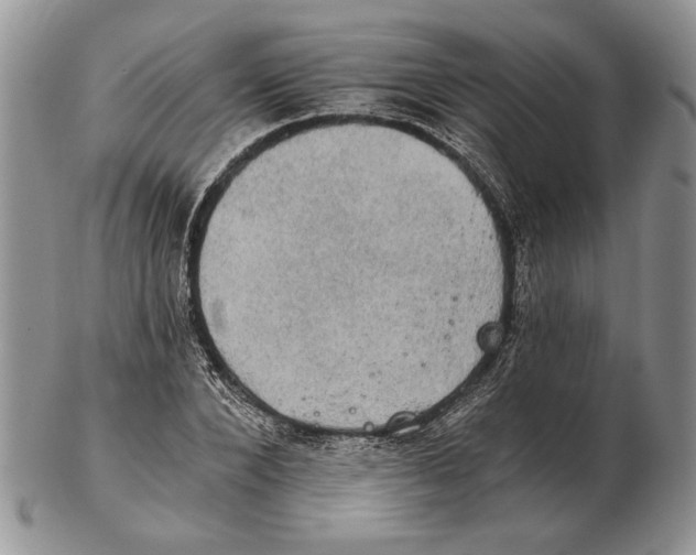 X0000102240880200808221328