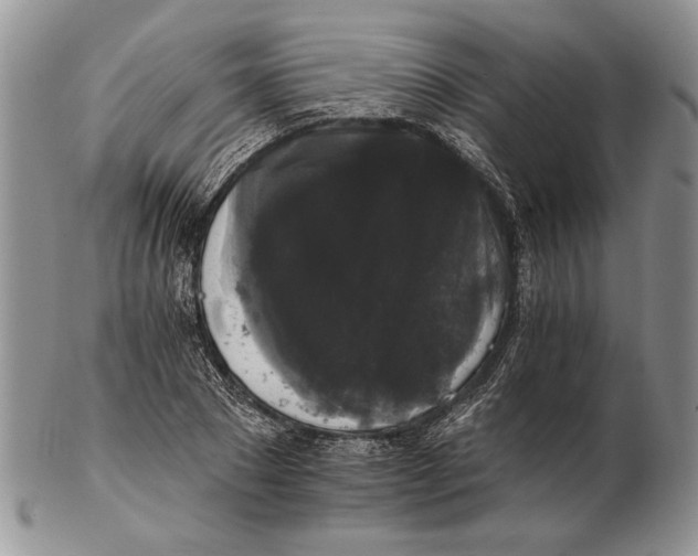 X0000102240881200808221328