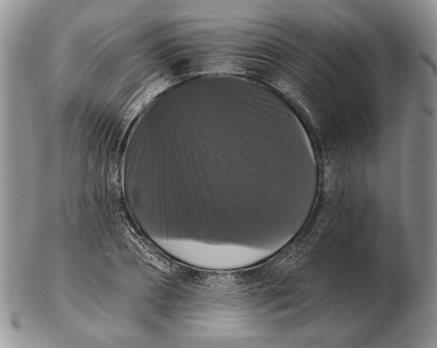 X0000102240882200808221328