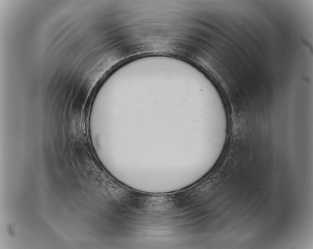 X0000102240883200808221328