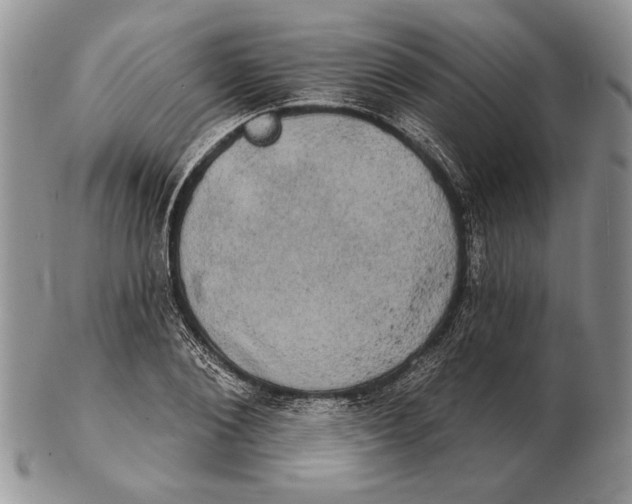 X0000102240884200808221328