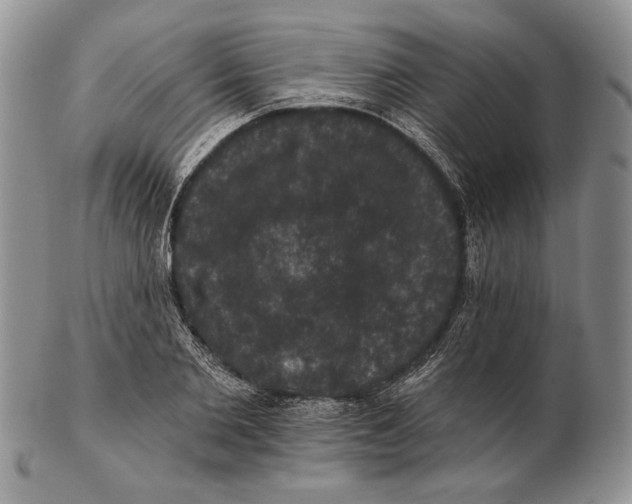 X0000102240885200808221328