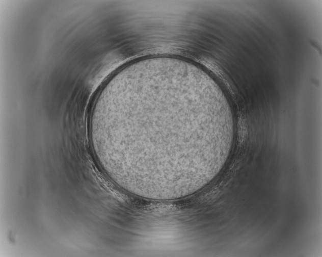 X0000102240886200808221328