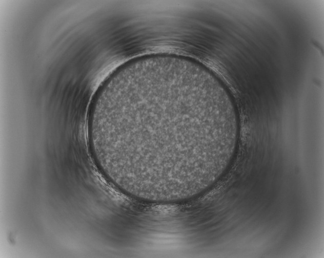 X0000102240888200808221328