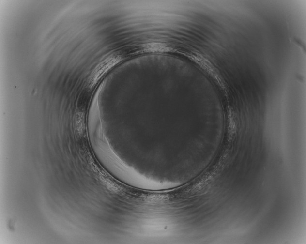 X0000102240889200808221328