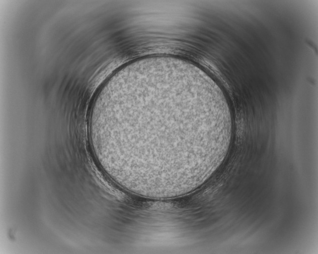 X0000102240890200808221328