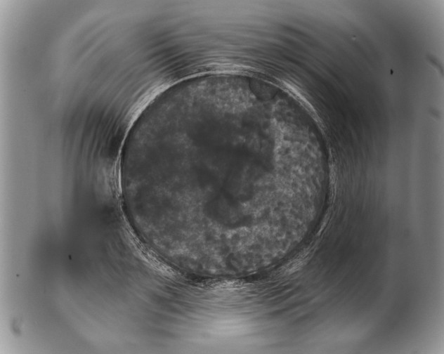 X0000102240891200808221328