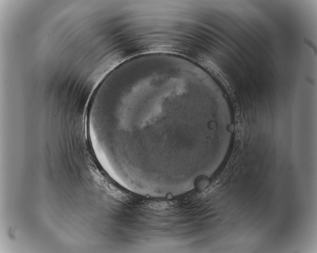 X0000102240892200808221328