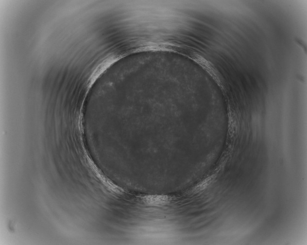 X0000102240893200808221328