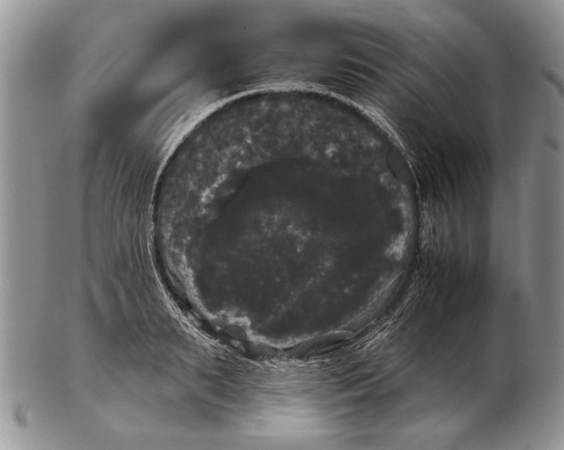 X0000102240895200808221328