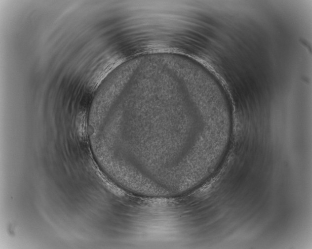 X0000102240897200808221328