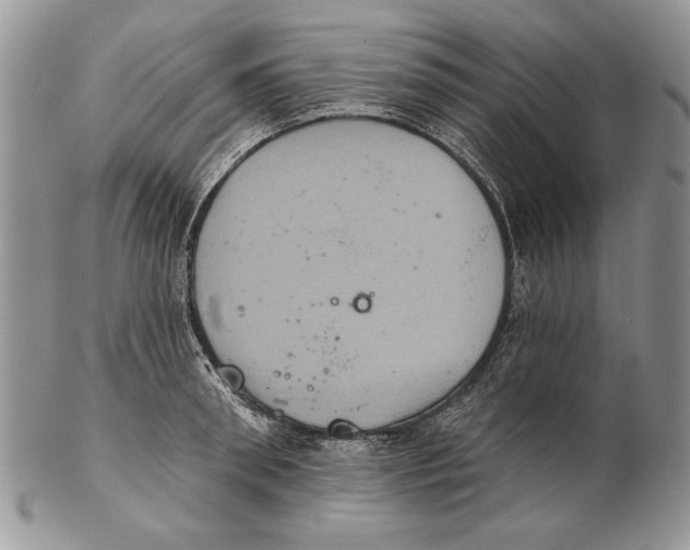 X0000102240898200808221328