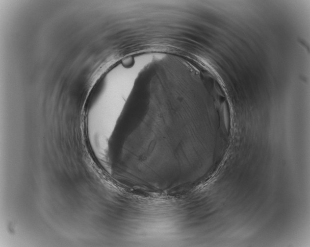 X0000102240899200808221328