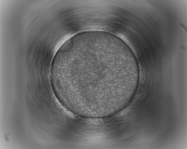 X0000102240901200808221328