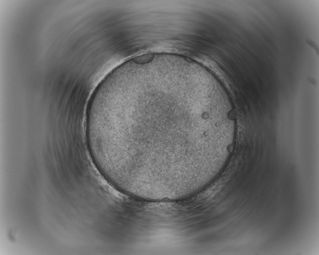 X0000102240902200808221328