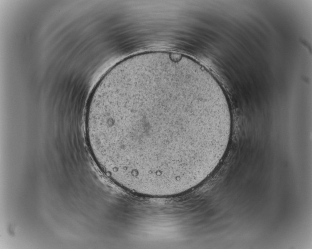 X0000102240904200808221328