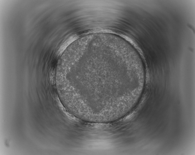 X0000102240905200808221328