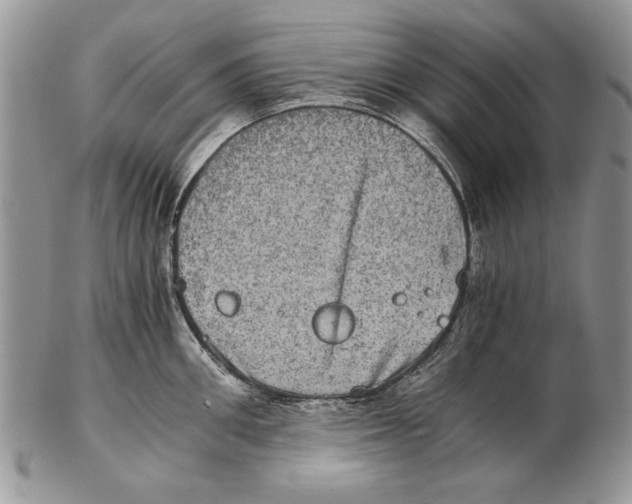 X0000102240906200808221328