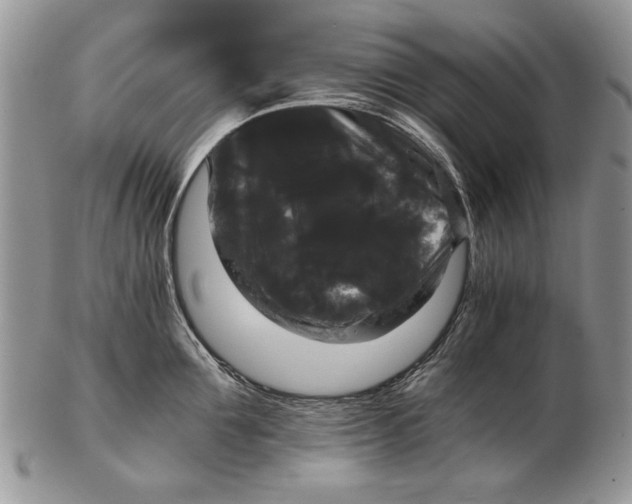 X0000102240907200808221328