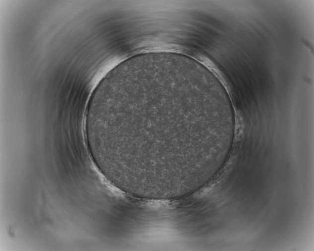 X0000102240909200808221328