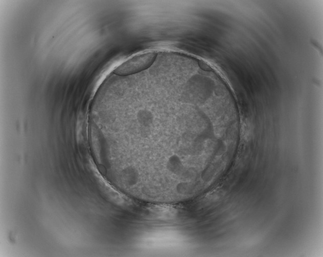 X0000102240911200808221328