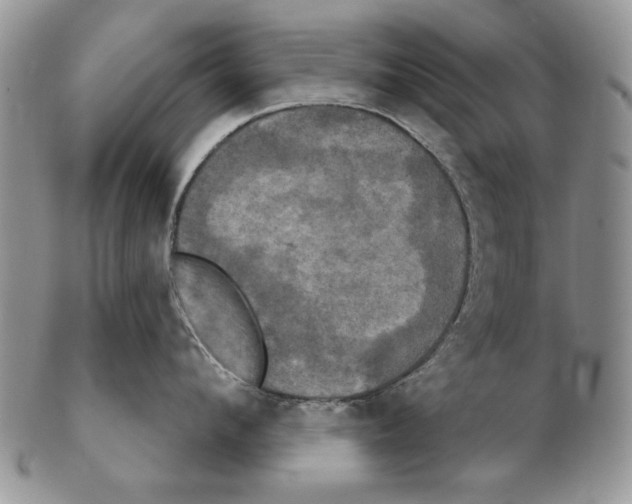 X0000102240912200808221328