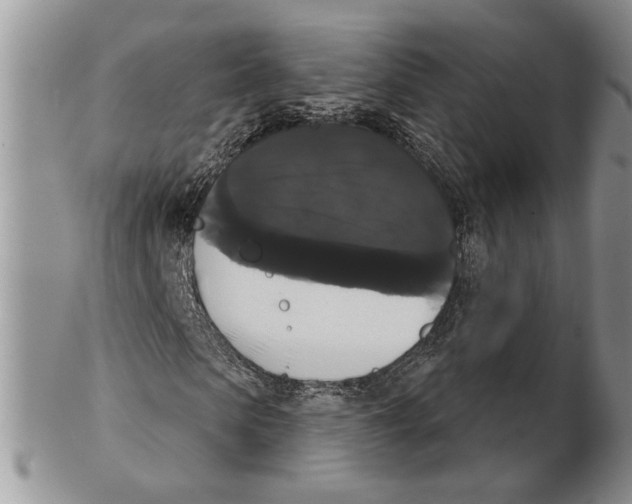 X0000102240913200808221327