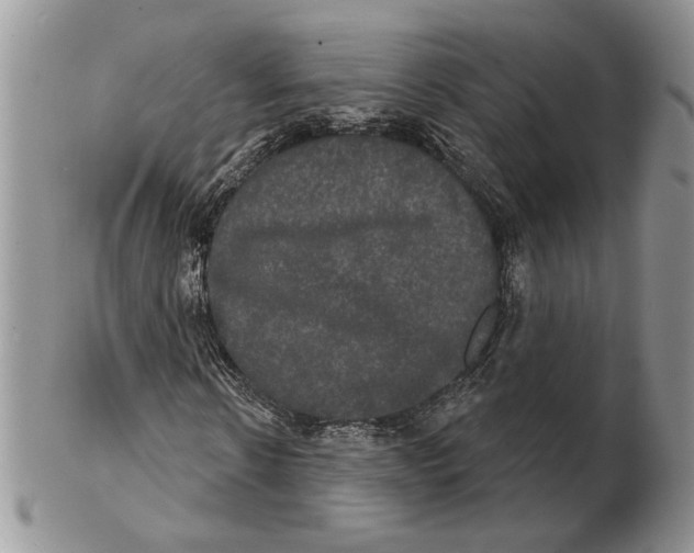 X0000102240914200808221327