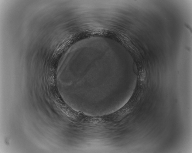 X0000102240916200808221327