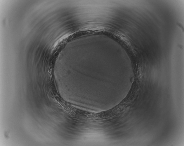 X0000102240920200808221327