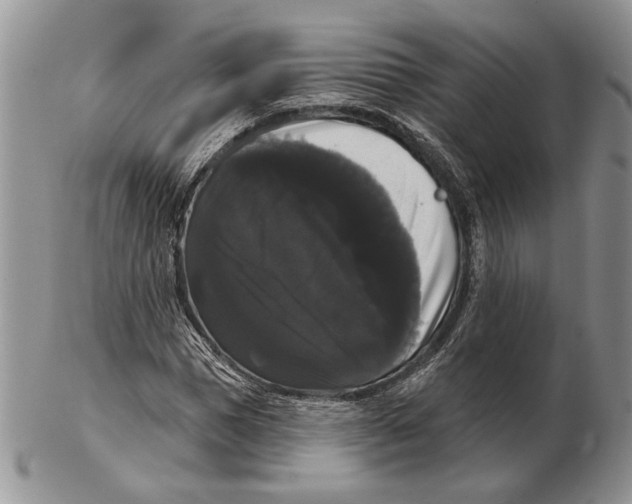 X0000102240921200808221327