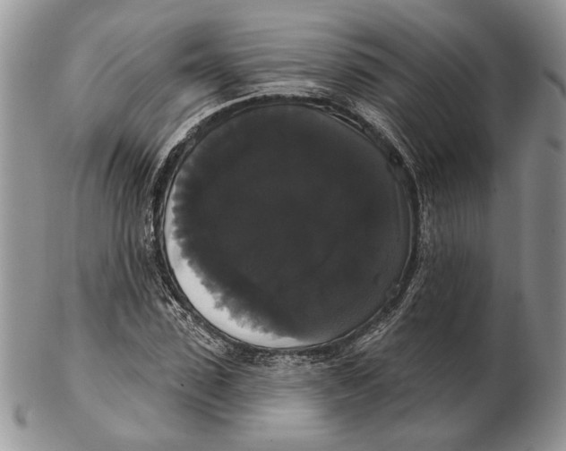 X0000102240923200808221327