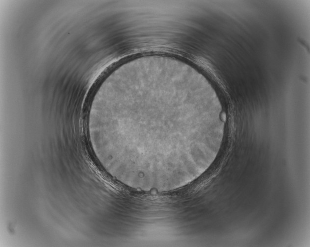 X0000102240924200808221327