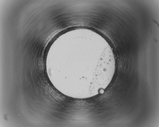 X0000102240927200808221327