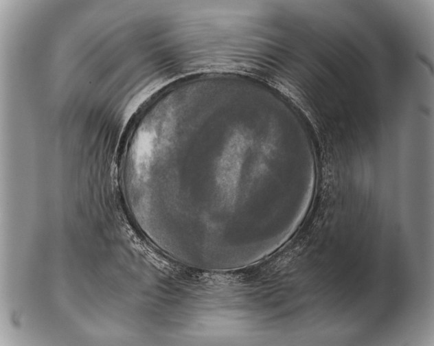 X0000102240928200808221327