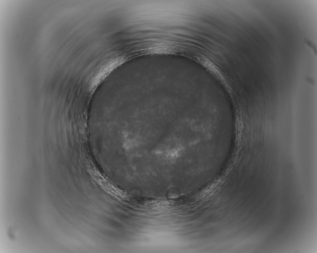 X0000102240930200808221327