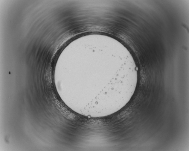 X0000102240931200808221327